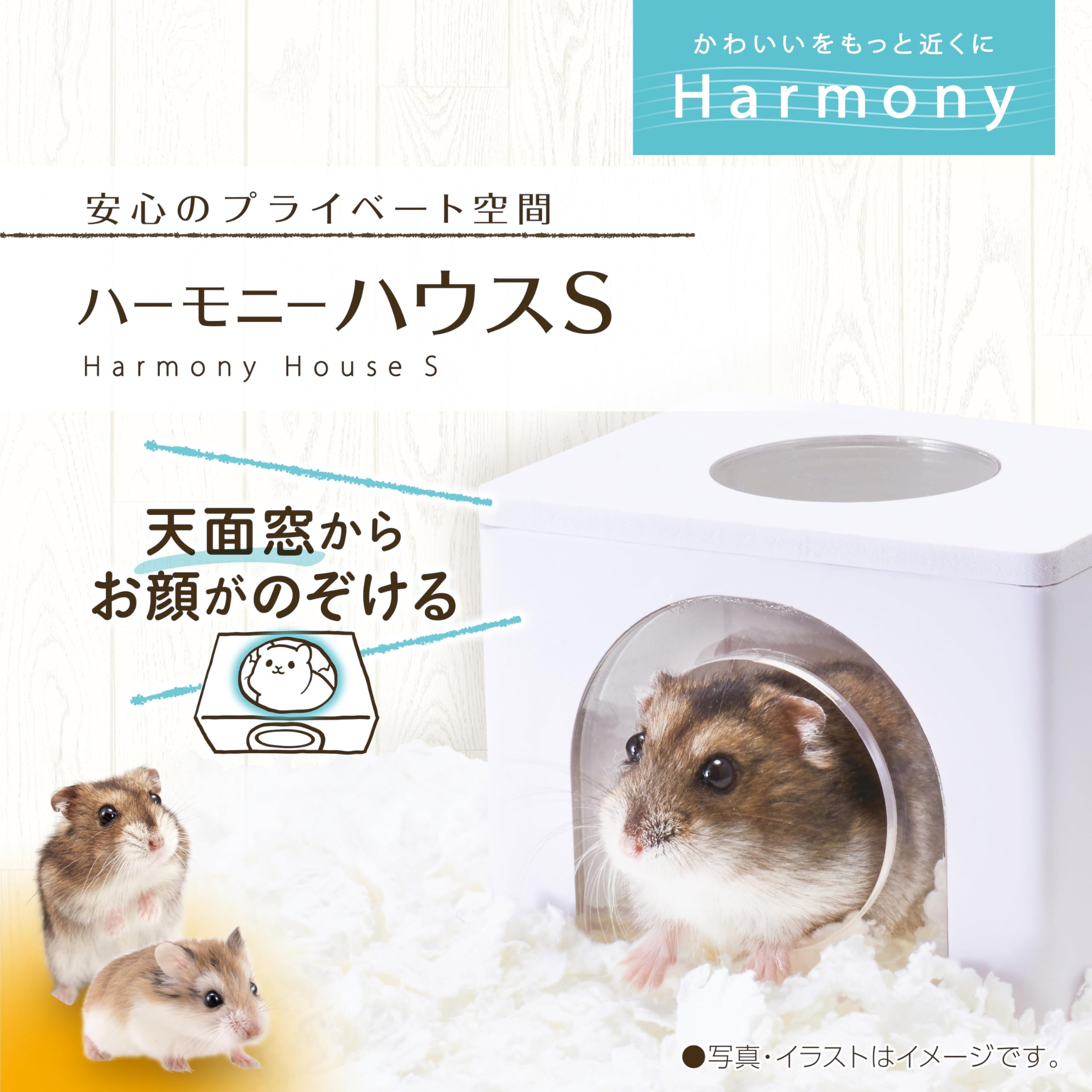 Amazon | ジェックス Harmony ハーモニーハウス 天面窓付き ハムスター